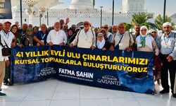 Ulu çınarlardan iyi haber