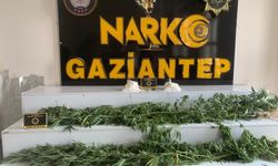 Uyuşturucuya rekor tutuklama