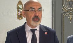 Böceklerin tek nedeni sıcaklık