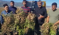 Bu ürünü keşke yıllar önce ekseydik