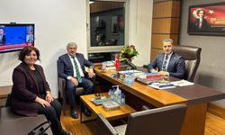 BOZGEYİK: UYUMLUYUZ