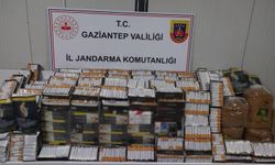 Kaçakçılık operasyonunda gözaltı