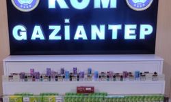 Kaçakçılık operasyonunda gözaltı