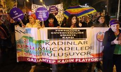 Kadına yönelik şiddet artıyor