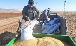 Kuraklık ekimi geciktirdi