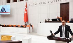 Meriç’ten ‘göç bakanlığı’ çağrısı