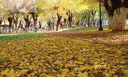 Parklar sonbahar renklerine büründü