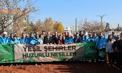 Şehir merkezi ağaçlanıyor