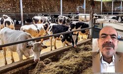 Tarım ve Hayvancılık batıyor