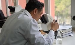 Üvez'ler için akademik açıklama