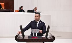 Bozgeyik’ten bütçe övgüsü