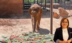 Fatma Şahin doğrusunu anlattı