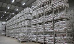 Fıstık piyasasını etkileyecek yeni düzen