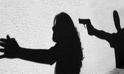 Yine cinayet yine kadın