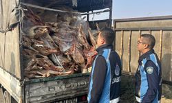 Kamyonet kasasında bozuk et şoku