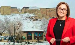 Şahin hem uyardı hem ulaşımda jest yaptı