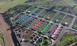 Konteynerler hayvanlara yuva oldu