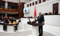 Meriç, bitmeyen yolun hikayesini anlattı