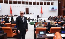 Meriç'ten Destan tepkisi