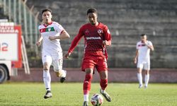 Nizet tek çalışacak