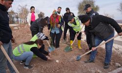 Oğuzeli’nde ağaçlandırma seferberliği