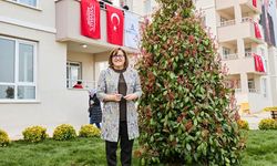 Şahin'den kurasız ev sözü