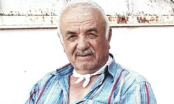 Tarla sürerken dala çarpıp can verdi