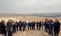 Vekil Şahin yerinde inceledi