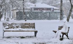Zemheri soğukları nedir? Zemheri ne demek?