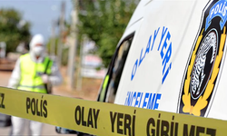 Mali Müşavire ne oldu?