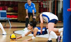 Merinos, Karayollarını konuk ediyor