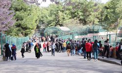 Hayvanat Bahçesi’nden iyi haber