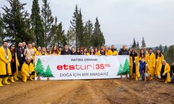 İlk fidanlar toprakla buluştu