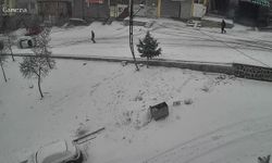 Kayan araç kaldırıma çarparak devrildi