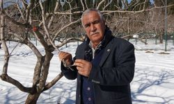 Tarımda umutlar arttı