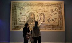 Müzede ziyaretçi rekoru