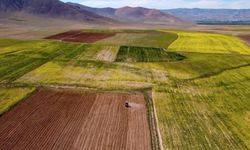 Arsa fiyatlarında şaşırtan artış