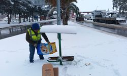 Sokak hayvanları için yiyecek bırakıldı