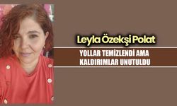 YOLLAR TEMİZLENDİ AMA KALDIRIMLAR UNUTULDU
