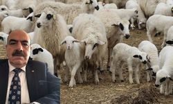 Asgari ücretli, emekli et yiyemiyor