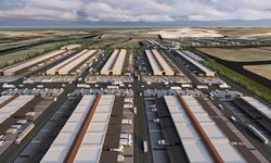 Bu sebze hali gözde olacak