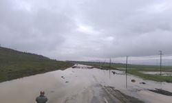 Tarım arazileri su altında kaldı