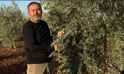 Gaziantep’te tarımda altın yıl