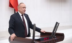 Vize engeline kanun teklifi