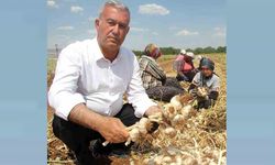 Tarım için kalıcı destek çağrısı