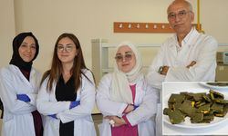 Akademisyenler özel bisküvi üretti