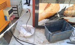 Ekmek sandığından yılan çıktı