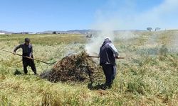 Firikte ütüm başladı