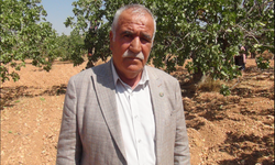 Hububat alımında önemli karar