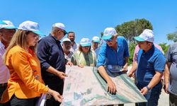 Kuş gözlemcilerine iyi haber